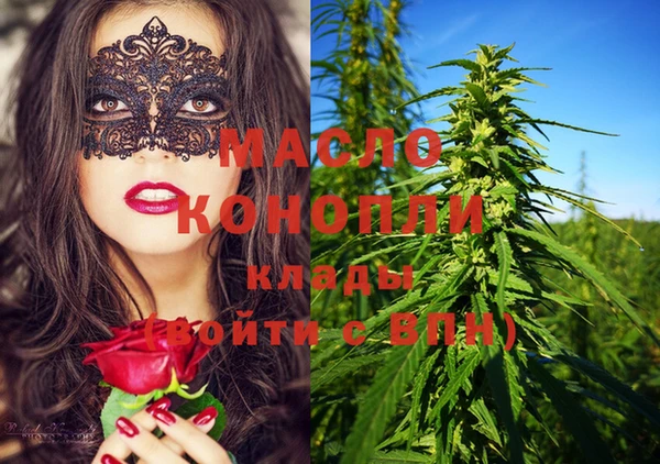 гашик Михайлов