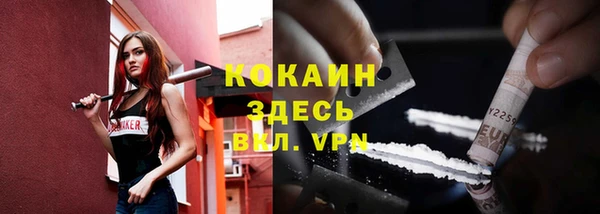 гашик Михайлов