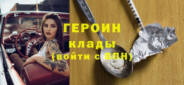 индика Рославль