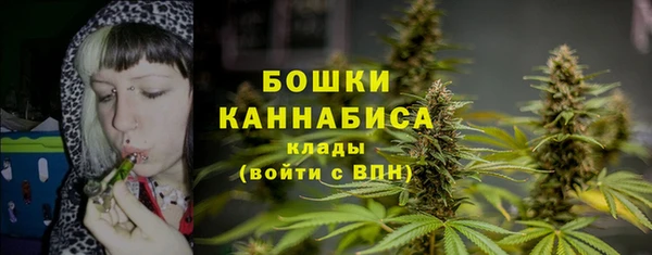 гашик Михайлов