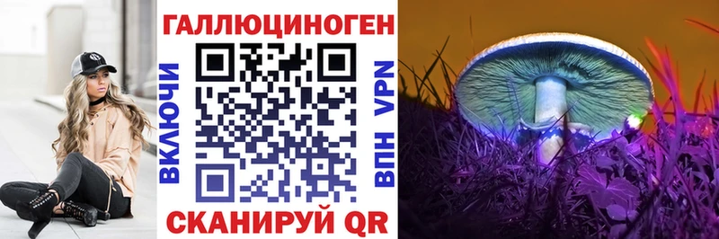 наркота  Магадан  Псилоцибиновые грибы Psilocybine cubensis 